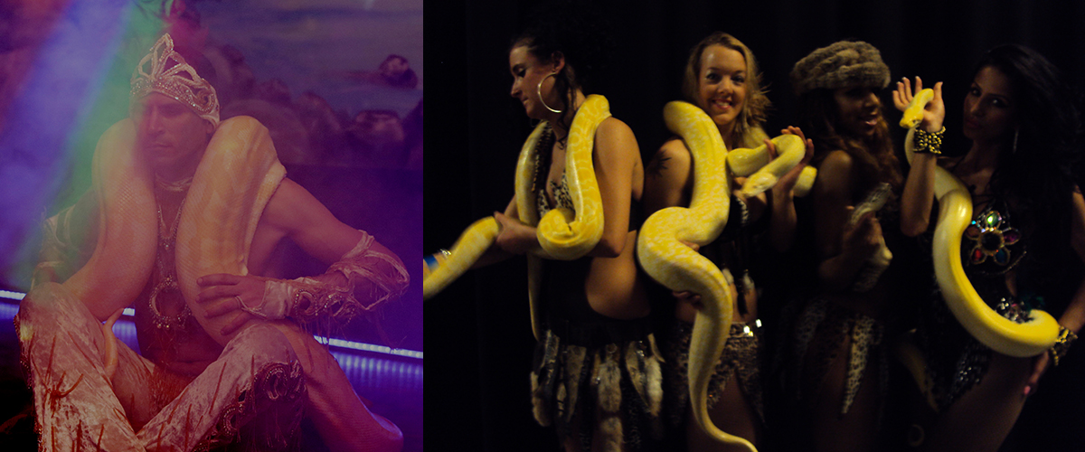 Slangen van optredens met slangen